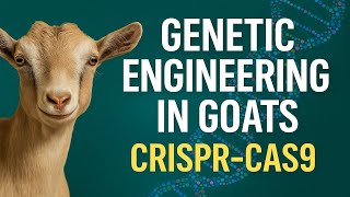 How CRISPR Is Rewriting Goat DNA to Fight Disease, Boost Health & Eliminate Horns screenshot 1