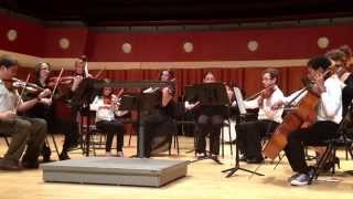 UGA String Project: Beetles Forever