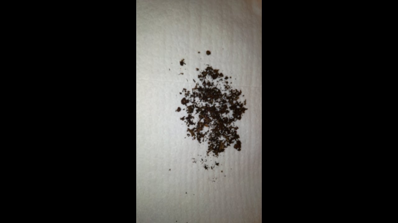 HERBSTICK REAL THING