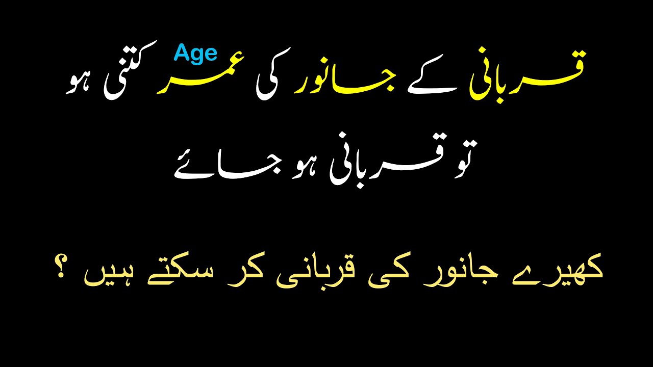 Qurbani Ke Janwar Ki Umar Kitni Honi Chahiye YouTube