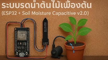 ระบบรดน้ำต้นไม้เบื้องต้น (ESP32 + Soil Moisture Capacitive v2.0) | สอนต่อวงจร + อธิบายโค้ดละเอียด