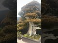 2022年3月4日