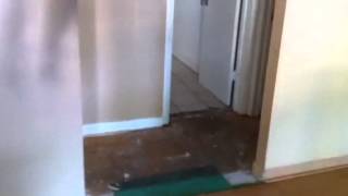 7020 Dakota Ave. Tampa-33604 CHEAP HOUSES!!! 7020 Dakota Ave. Tampa-33604 CHEAP HOUSES!!!