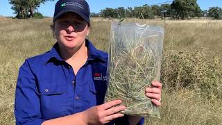 Collecting feed samples to test