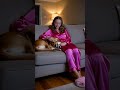 The Snuggle Club On The Couch #shorts #foryou #business #petsitting #calgary
