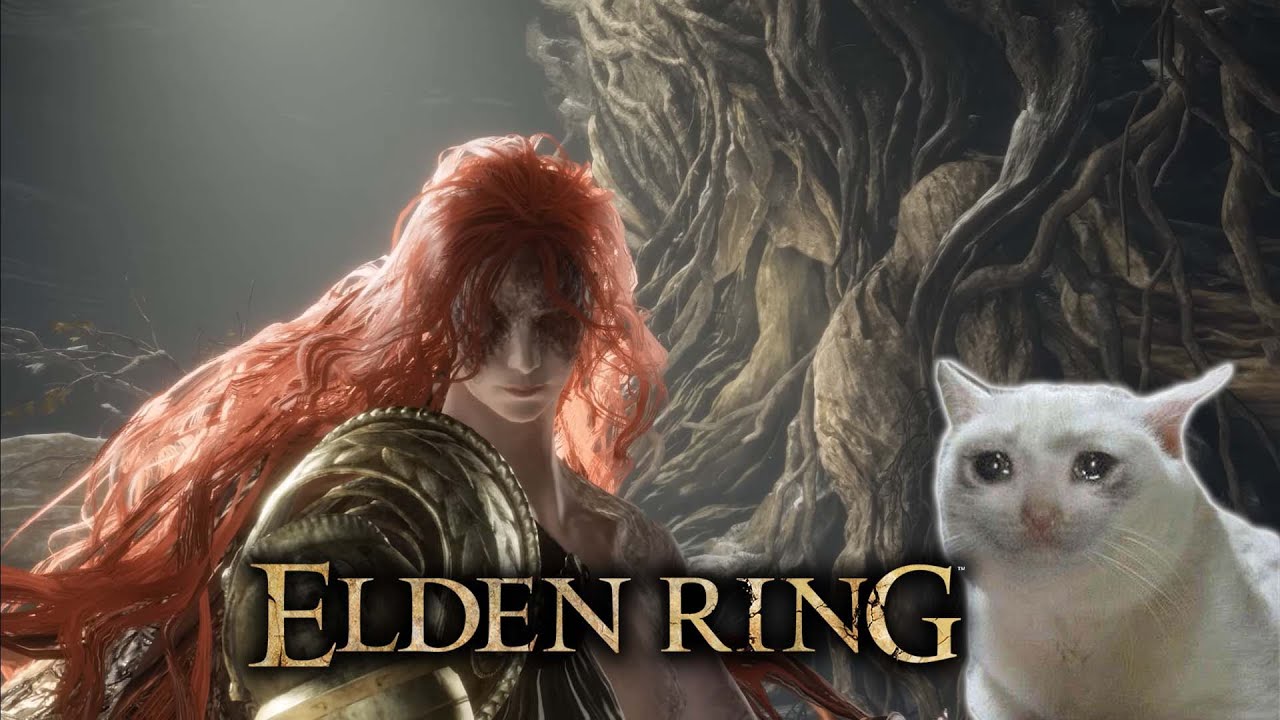 I defeated Malenia at the cost of my sanity - Elden Ring [24]