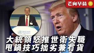 20200409B 大統領怒推世衛失職 甩鍋技巧拙劣兼冇貨 | 芒向早晨