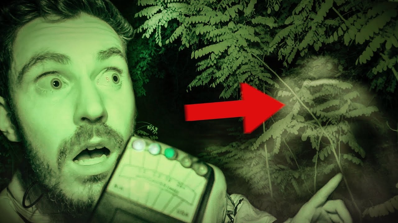 J ai DORMI Dans La For t La PLUS HANT E De France Paranormal YouTube j-ai-dormi-dans-la-for-t-la-plus-hant-e-de-france-paranormal-youtube