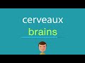 Comment Dire Cerveaux En Anglais