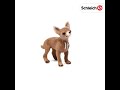 Schleich   13930   figurine chihuahua figurines schleich sur site borntobekids  farm world schleich