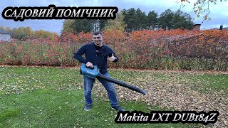 Makita LXT DUB184Z Прибираємо сад від листя.