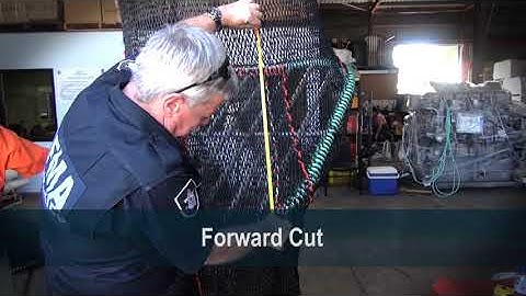 AFMA Turtle Excluder Device (TED) inspection July 2021