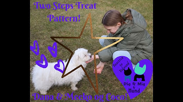 Two Steps Treat Pattern! Inspired by Leslie McDevitt, Control Unleashed