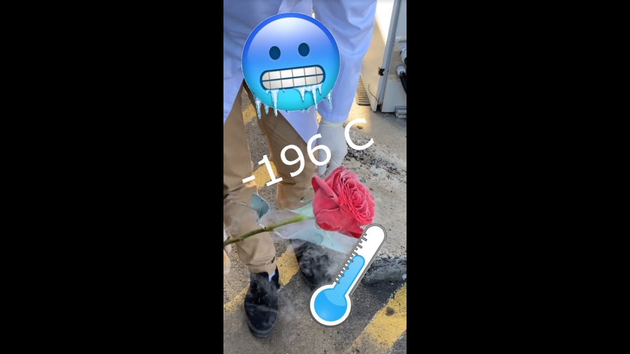 Let's play. Frozen stuff. 