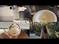 【vlog】最近の日常と購入品紹介🧺