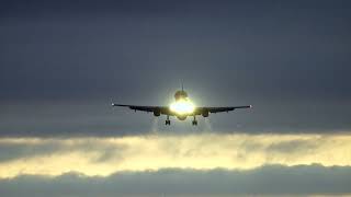 DHL 757's Majestic Arrival - Sunset vibe #ema