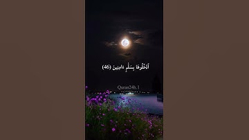 نَبِّئۡ عِبَادِيٓ أَنِّيٓ أَنَا ٱلۡغَفُورُ ٱلرَّحِيمُ | #هزاع_البلوشي#سورة_الحجر #surahalhijr #quran