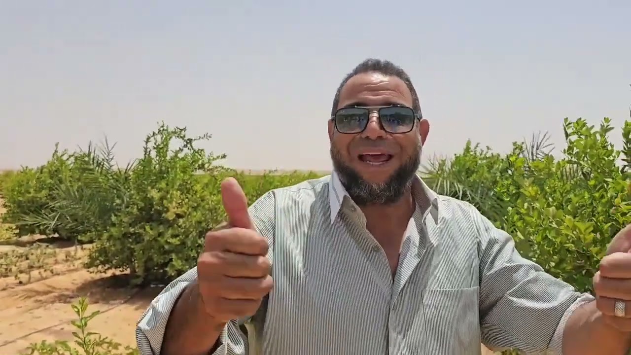 اشتري في مشروع دشلوط البير علي 50 فدان غمر و تنقيط  وشوف سابقه الأعمال للحجز 01008791285 اسامه الفار