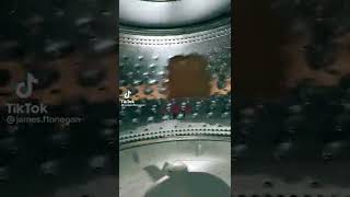 Spinning Bread Free Bird