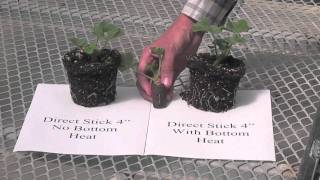 Match Highlights Genesis™ Geraniums Part 1