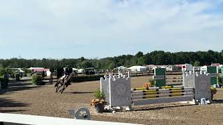 Caroline 1.0m Saratoga Classic II