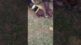 Catching a snake for Nagamani stone extraction part-2