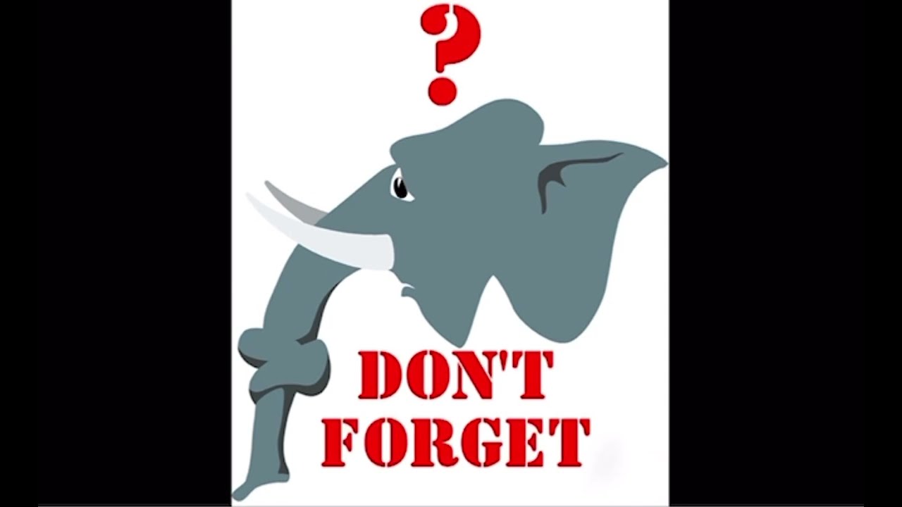 💛Animation Movies For Kids 2016♥️Interactive Animal Sounds Game Kids Learning Videos 