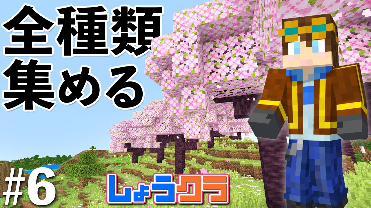 【座標5,000】オーバーワールドの原木を全種類集める大冒険！Part6【しょうクラ】