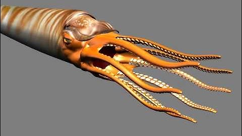 Prehistoric Nautiloid Tentacles Rig