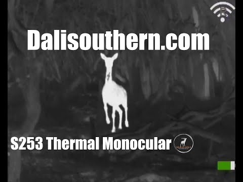 Тепловізор Dali S253, видео 1