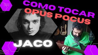 La Técnica de JACO PASTORIUS!!  Análisis completo