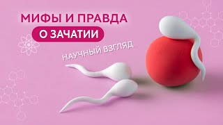 Мифы и правда о зачатии: научный взгляд