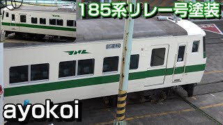 復活 新幹線リレー号塗装 185系0番台C1編成 大宮大栄橋