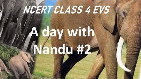 CLASS 4 EVS - Chapter : A day with Nandu Part 2