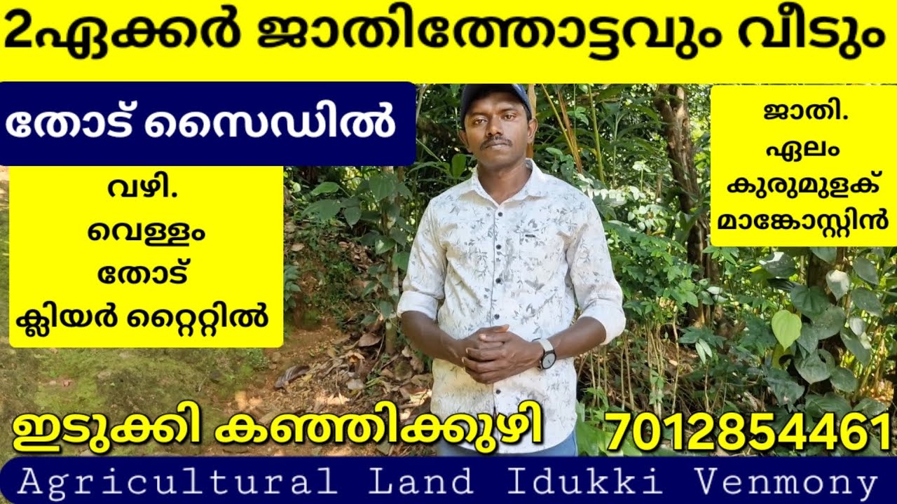 തോട് സൈഡിൽ 2ഏക്കർ ജാതി തോട്ടവും വീടും.. വഴി വെള്ളം ക്ലിയർ റ്റൈറ്റിൽ. ഇടുക്കി കഞ്ഞിക്കുഴി 👇7012854461