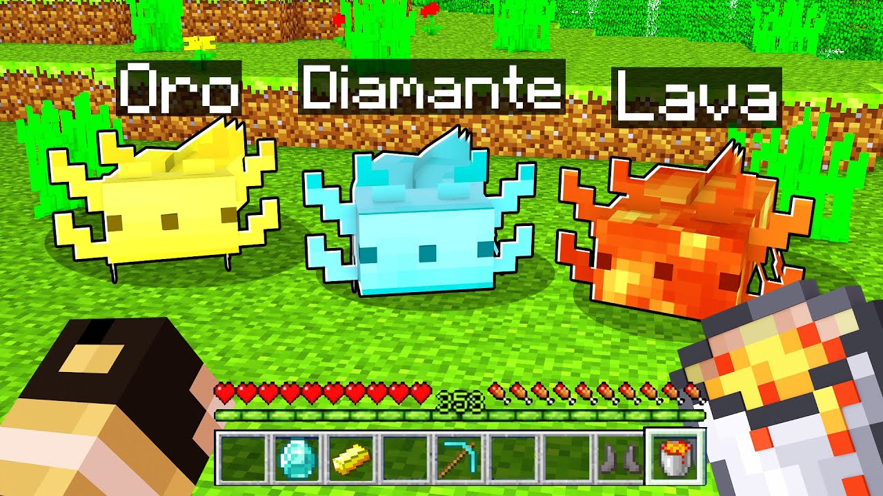 CREO GLI AXOLOTL PERSONALIZZATI SU MINECRAFT!!