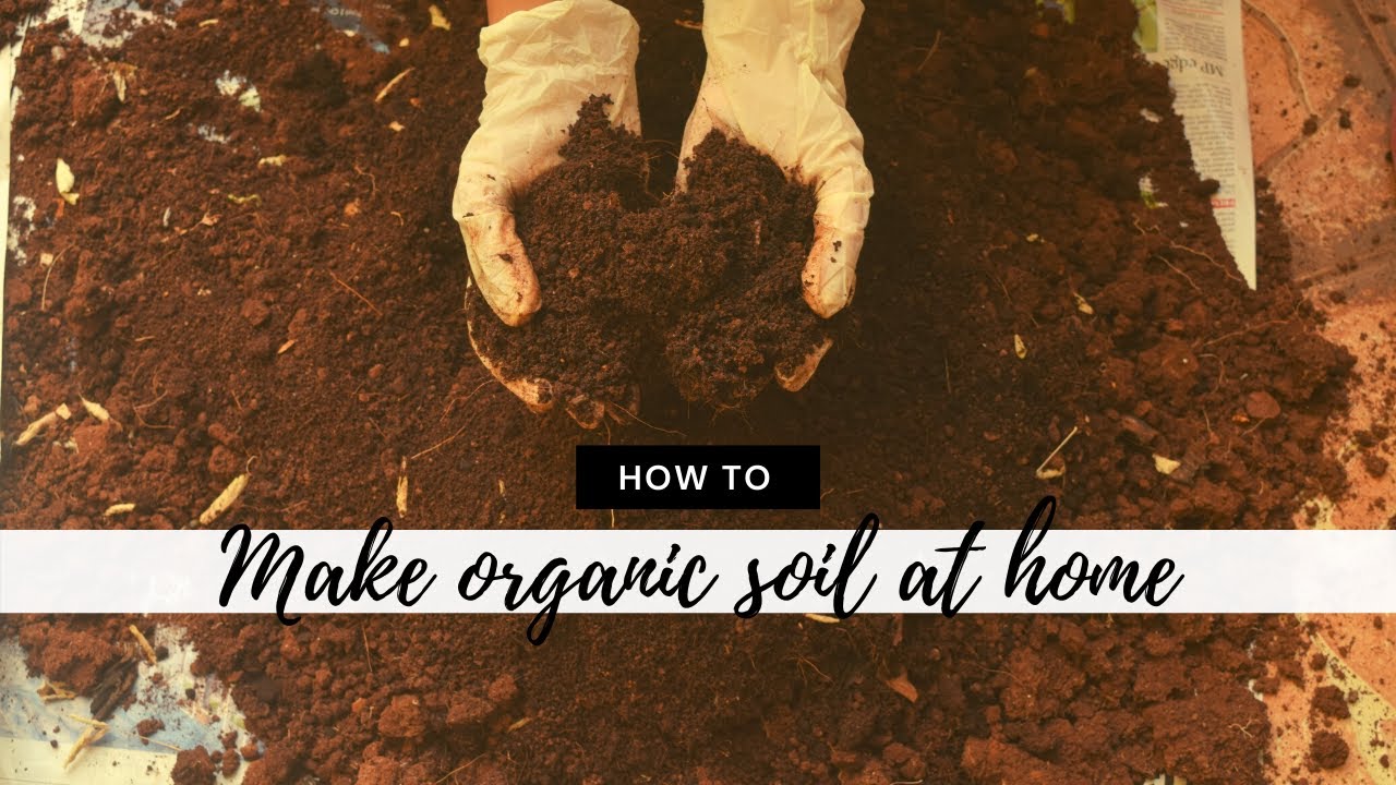 How to make potting soil for Vegetables and Indoor plants | Hindi - YouTube