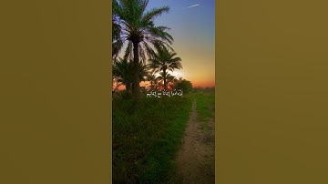 سورة الفتح #sorts #القرآن_الكريم #قرآن