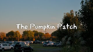 The Pumpkin Patch | Shot on Nikon Z30 | 4K |