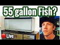 Fish for 55 gallon Aquarium? Stocking Ideas? Fish for 55 gallon Aquarium? Stocking Ideas?