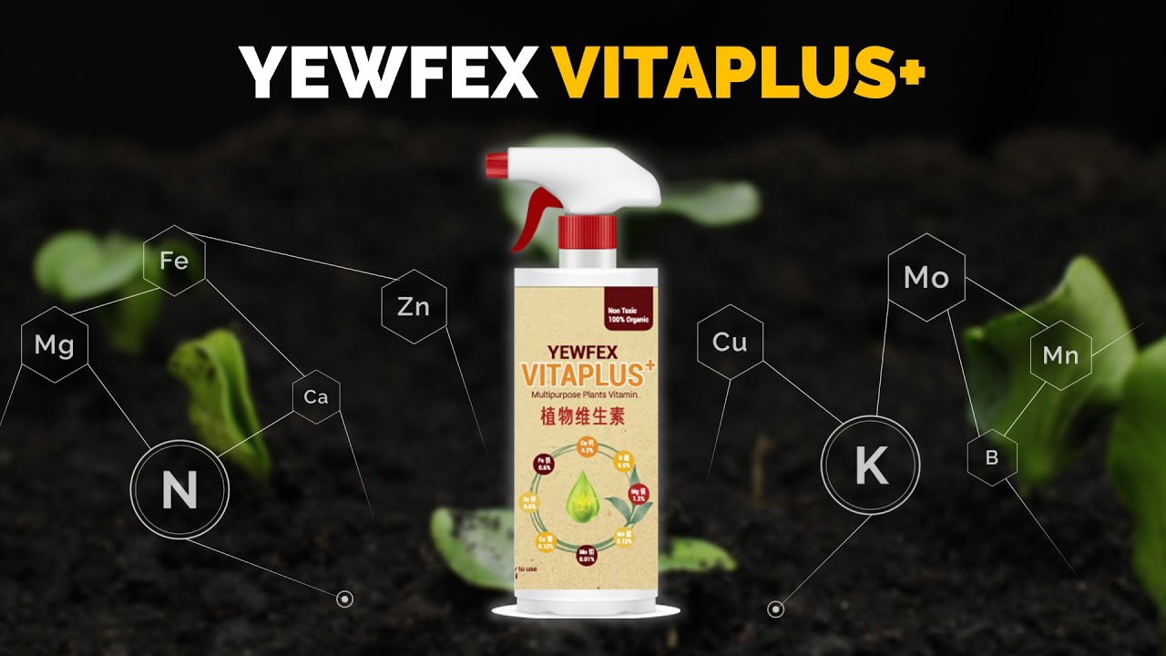 Solution for Your Plant Deficiency! | YEWFEX Vitaplus+