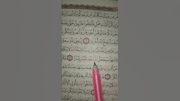 قرأن يشفى القلوب# الشيخ رعد الكردي #سورة الطلاق# foryou#