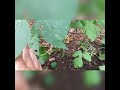 You don't always get to eat what you plant
