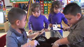Using Materials to Support Learning