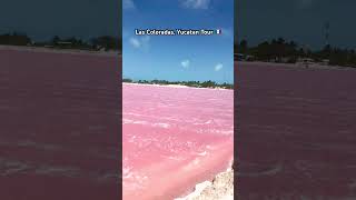 Las coloradas tour in Yucatan, Mexico 🇲🇽 / Excursion a las Coloradas au Yucatan, Mexique 🇲🇽
