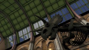 Mesh attacks this summer