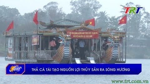 Thả cá tái tạo nguồn lợi thủy sản ra sông Hương