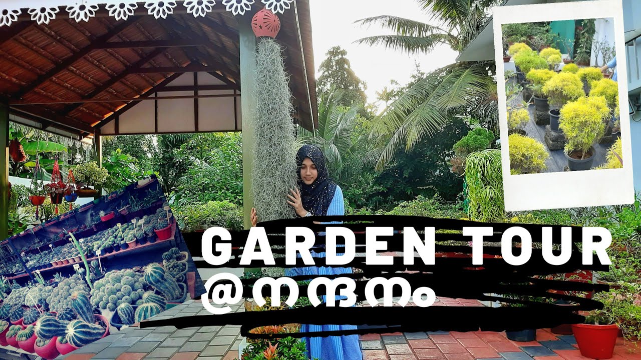Nursery visit in ernakulam Garden tour nandanam gardens YouTube