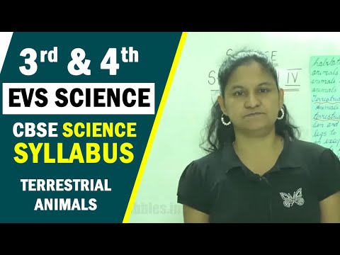 3rd & 4th EVS Science | CBSE Science Syllabus | Terrestrial Animals