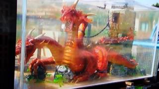 Steve Aoki Gets A Dragon In Big Fish Tank#